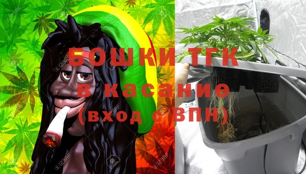 PSILOCYBIN Дмитриев