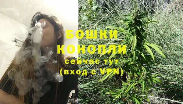 прущие крисы Дмитров