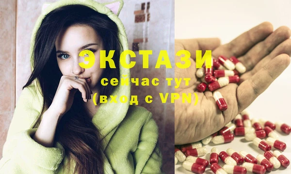 apvp Гусев