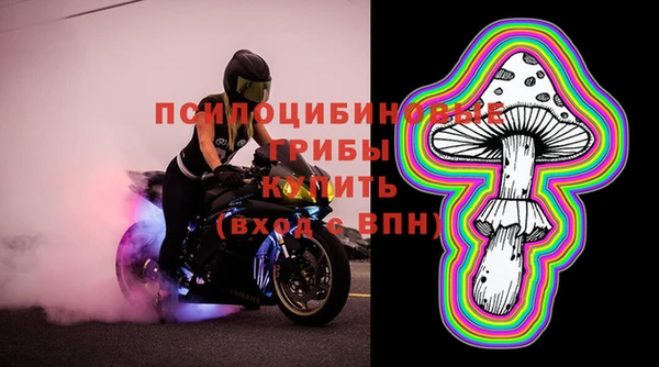 PSILOCYBIN Дмитриев