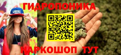 соль ск Гай