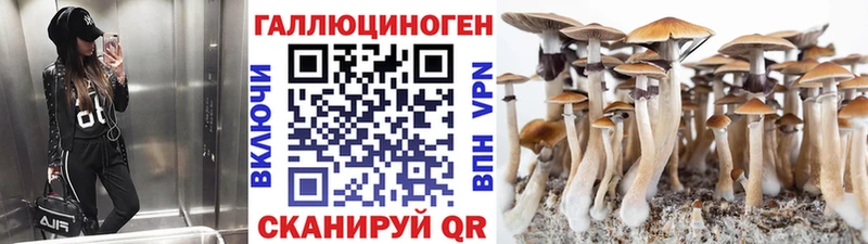 Псилоцибиновые грибы Cubensis  где купить   Еманжелинск 